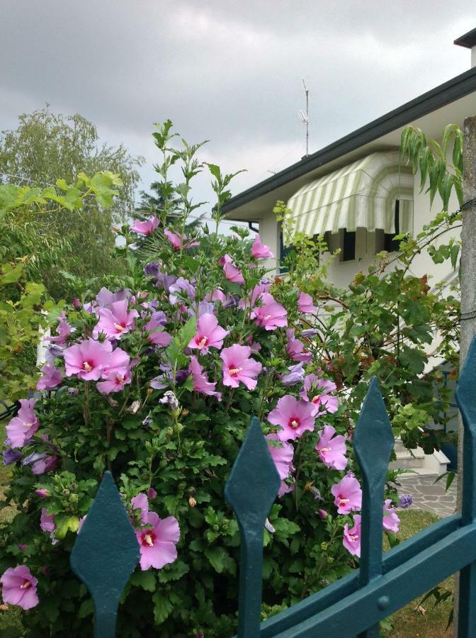 Casa Del Vigneto Villa Spinea Ngoại thất bức ảnh